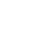 Anno1861